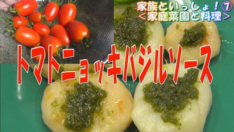 ニョッキ[料理]　家族といっしょ⑦「トマトニョッキバジルソース」