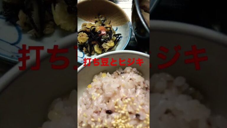 休みだったので煮込み系