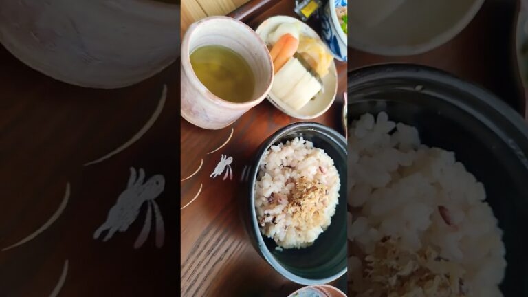 Simple traditional farming Japanese breakfast 2023-0521