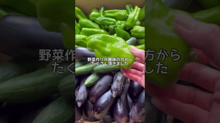 ピーマン大量消費🫑ツナとピーマン炒め🫑ご飯が進みます😋