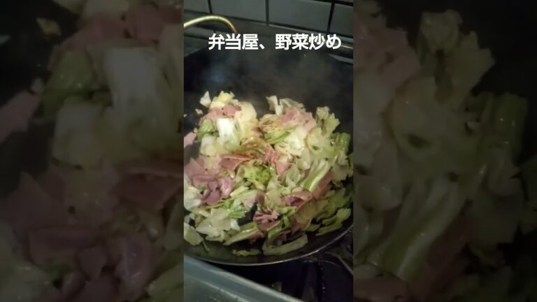 【弁当屋】野菜炒め、作りました、簡単料理、夫婦vlog、｜Japan food eating｜bento lunchbox Master chef
