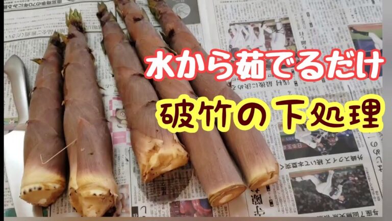 冷凍しておけば便利！破竹の下処理