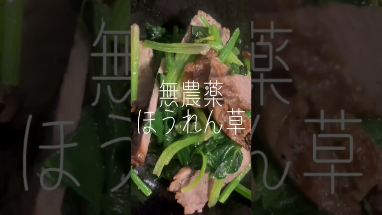 無添加ベーコン&無農薬ほうれん草〜シンプルに塩胡椒のみ(´∀｀*) #無添加 #ベーコン #無農薬 #野菜 #ほうれん草 #シンプル #自然塩 #塩胡椒 #日常 #楽しむ #本来の自分 #shorts