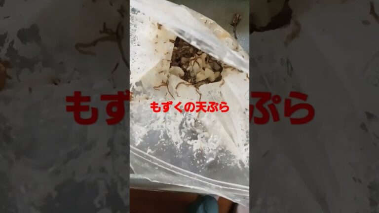 2023年6月13日#料理 #shorts もずくの天ぷら