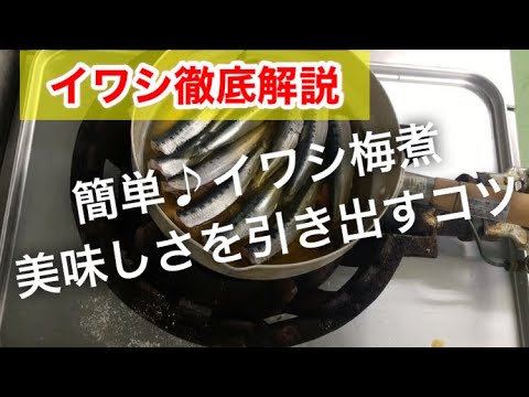 【いわし梅煮】の美味しさを引き出すコツ徹底解説