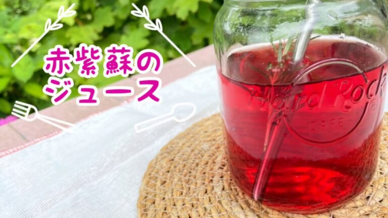 夏の保存食『紫蘇ジュース』簡単仕込み方♪