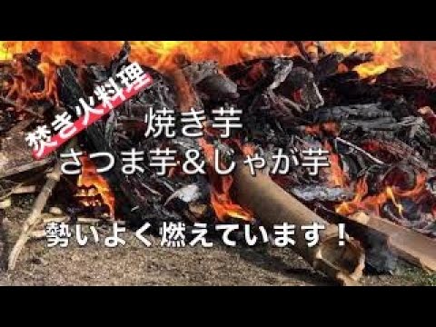 【焚き火料理】ホクホク焼き芋！焼きじゃが芋！の作り方　新聞紙とアルミホイルに包んで美味しく焼けるよ！どちらもオススメ！