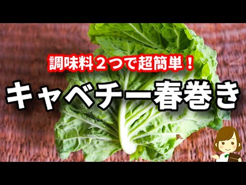 【キャベツ大量消費】具材はキャベツとチーズだけなのにめっちゃ美味しい！『キャベチー春巻き』の作り方Cabbage and Cheese Spring Rolls
