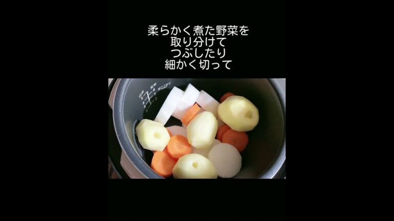 簡単手抜きで離乳食作りしてたけど子供達は立派に大きく育ちました／大根／にんじん／じゃがいも／鶏むね肉レシピ