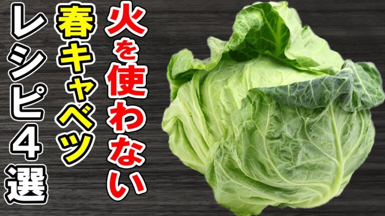春キャベツレシピまとめ4選！火は使いません！箸が止まらない絶品おかずの作り方/春キャベツレシピ/簡単料理/時短料理/作り置きおかず/お弁当おかず【あさごはんチャンネル】
