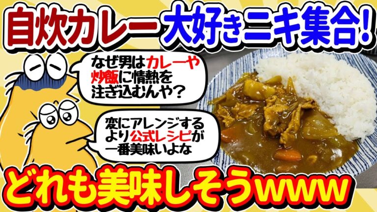 【2ch面白いスレ】カレー作るニキ大集合！色とりどりのカレーが集まるｗｗ