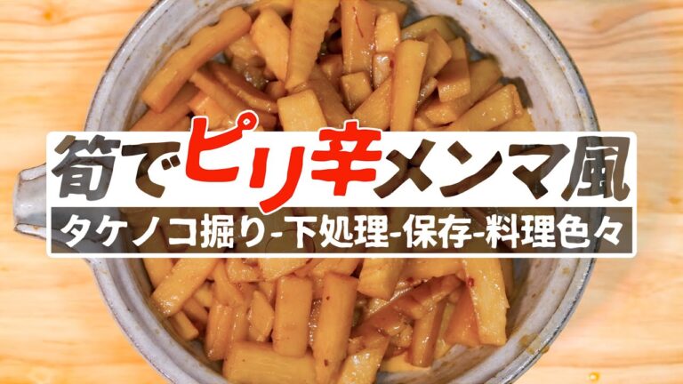 [ 酒の肴レシピ ] タケノコで簡単即席ピリ辛メンマ風の作り方 / 筍堀りから下処理そして筍づくし   4K
