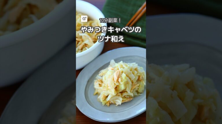 【冷蔵4日】やみつきキャベツのツナ和え #作り置き #つくおき #レシピ動画 #お弁当おかず #おつまみ #料理
