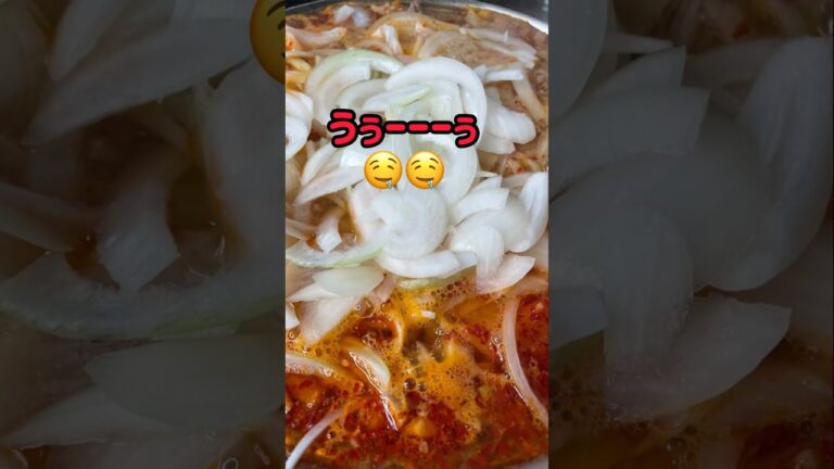 お家で簡単めちゃうまニュータンタンやっちゃおう👩🏼‍🍳リピ確定☝️✨我が家流鍋ラーメン🍜 #玉ねぎ  #鍋 #ラーメン