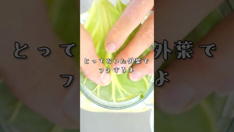 ザワークラウトの美味しい季節です！春キャベツを丸ごと漬けよう！ #キャベツ #漬物 #保存食 #shorts