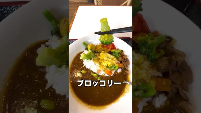 【すき家シリーズ】夏にピッタリ！カレーのルー野菜のハーモニー【夏の彩野菜カレー】