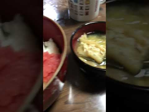 【夕食】今夜はしらす丼