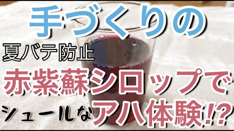 【シュールな実験動画】夏バテ防止に赤紫蘇シロップ作って実験してみた