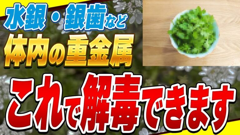 【最強】重金属をみるみるデトックスする●●の驚くべき効果とは