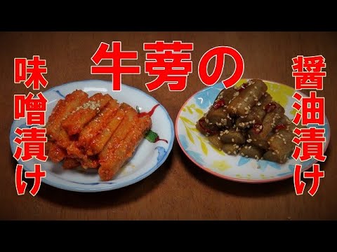 牛蒡の漬物二品『ピリ辛の味噌漬け、醤油漬け　コリコリ食感で美味しい～』