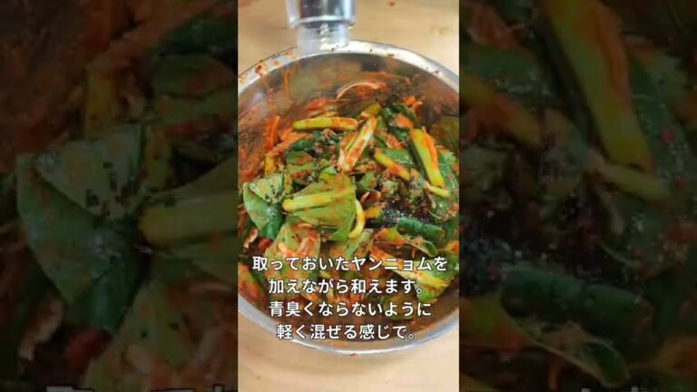#short #小松菜キムチ#小松菜#キムチ#簡単レシピ#韓国料理 #koreanfood #코마쯔나김치#韓国＃おつまみ＃おかず＃絶品＃美味しい＃料理