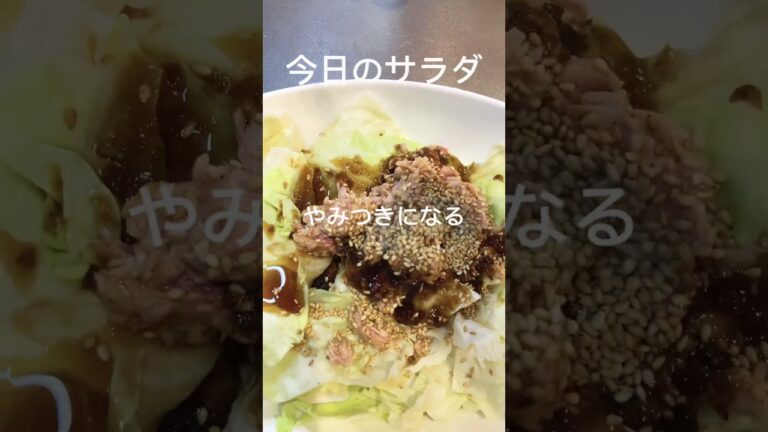 太っちょおばさんのダイエットレシピ。おつとめキャベツで無限キャベツ作ってみた。#サラダ#ダイエット#デブ