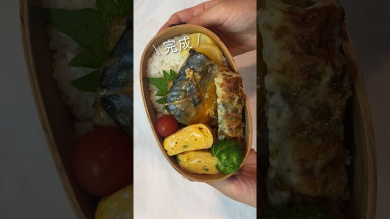 【今日のお弁当】鯖の味噌煮 #同棲ご飯 #毎日ご飯 #おべんとう #お弁当詰め方 #毎日弁当 #作り置き