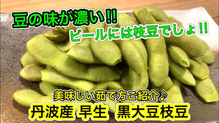 黒大豆枝豆の美味しい茹で方紹介レシピ【さくっと簡単料理　♯539】