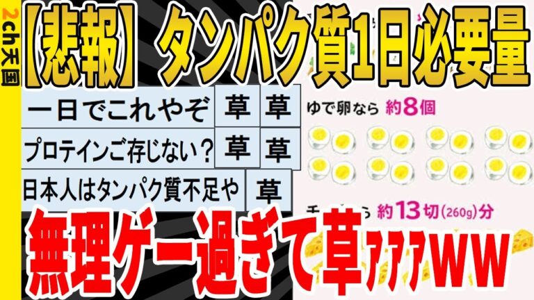 【2ch面白いスレ】【悲報】タンパク質一日必要量、無理ゲー過ぎて草ｧｧｧｗｗｗｗｗｗｗｗｗ　聞き流し/2ch天国