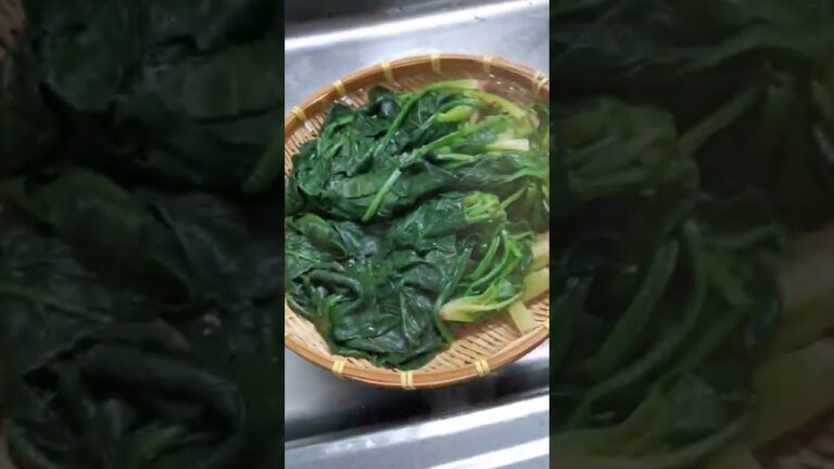 【自炊3年目の30秒料理日記】親戚のおいしいおいしいほうれん草('∇')【一人暮らしvlog】#shorts