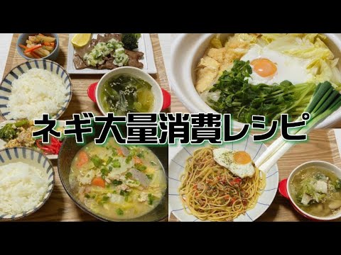 【ネギ大量消費】1週間ネギ生活［農家さんから大量のネギをもらった］