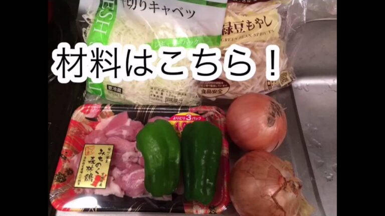 鶏肉のカレー炒め