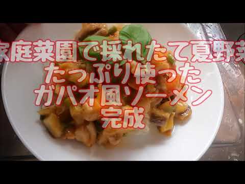 【家庭菜園】採れたて夏野菜たっぷり使ったガパオ風そーめん