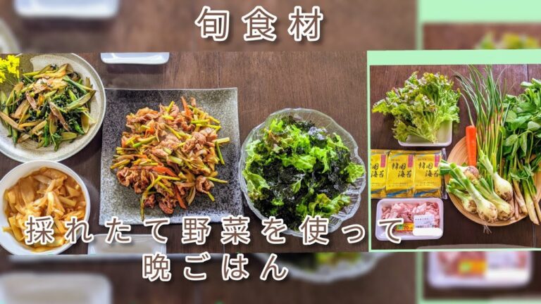 【簡単夕飯レシピ】畑の春野菜!たっぷり使って晩ごはん！豚肉のプルコギ最高です！簡単にできちゃうから作ってみてくださいね！