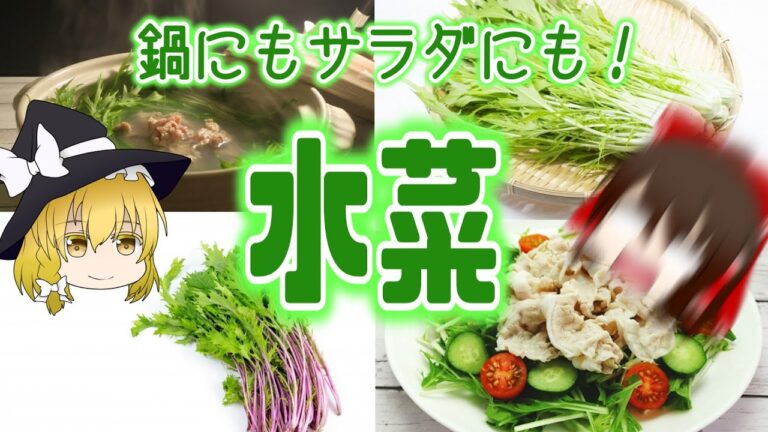 【ゆっくり解説】生で栄養豊富！水菜の栄養ついて解説！