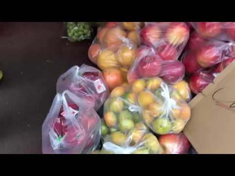 一袋300円の紅玉でりんごジャムをつくる〜市販のジャムより自然の味がいい　Vlog