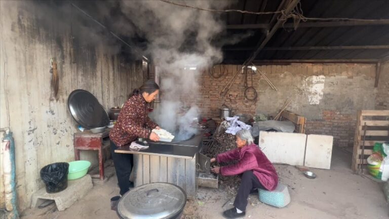 天冷了清香也学懒了，午饭弄顿剩饭，发面包子冷冻蒸出来真不行