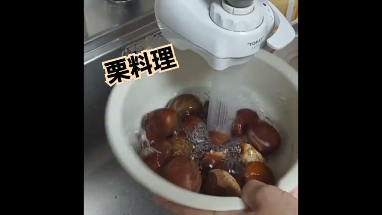 【栗】 #shorts #秋 #栗ご飯  #レシピ  #晩御飯 #旅行 #休日 #フィールドワーク #くり  #つばきたチャンネル