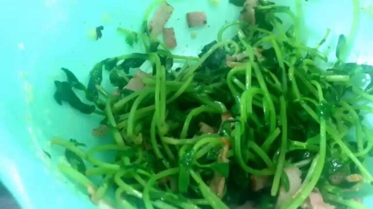 お弁当今日の一品  豆苗とベーコンのレモン醤油