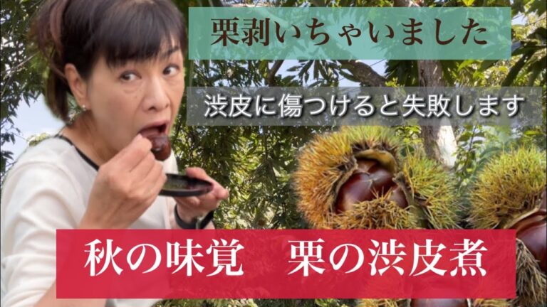 【栗の渋皮煮】里山暮らし　収穫から下処理　調理して食べた渋皮煮は絶品だった
