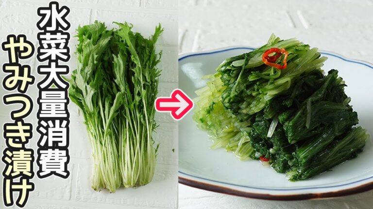 やみつき食感「水菜漬け」シャキシャキっとクセになる美味しさ！水菜の消費におすすめです