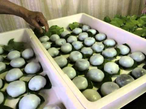 柏餅の講習.wmv