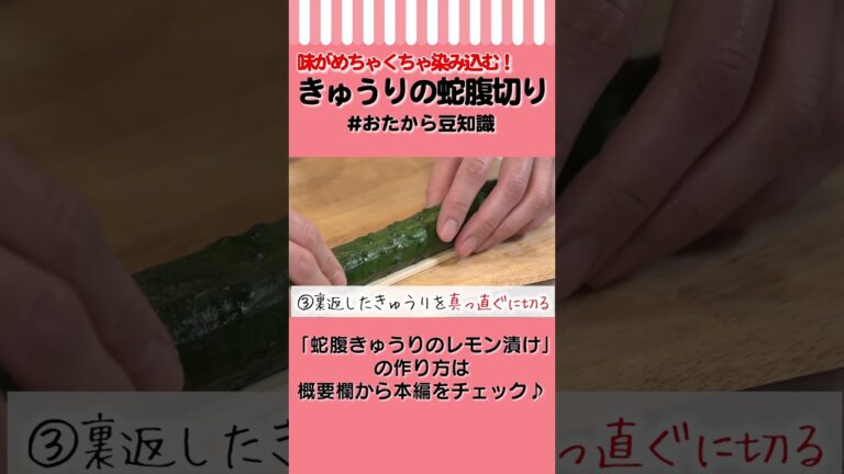 【プロの技】簡単＆味しみしみ！きゅうりの蛇腹切りの方法　#Shorts #おたから豆知識