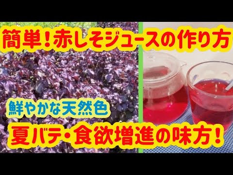 【🎐暑い夏、夏バテには……🍃】簡単！美味しい♪赤しそジュース【🌻概要欄に目次あり🌻】