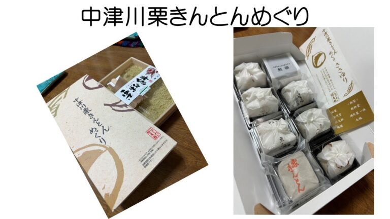 【 中津川にぎわい特産館へ栗きんとんと栗粉餅を買いに行くの巻　2023年9月1日 】