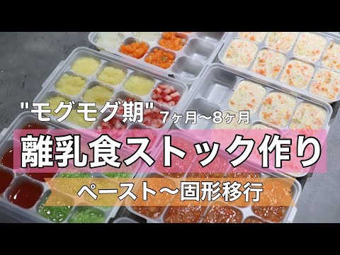 【離乳食ストック作り】〜ゴックン期からモグモグ期に移行〜