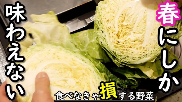 【春キャベツ】今しか食べれない野菜！旬のキャベツを味わう【私の日常料理】