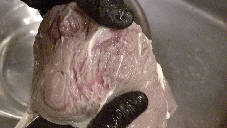 「玉ねぎ漬け込み肉」徹底検証24時 #shorts