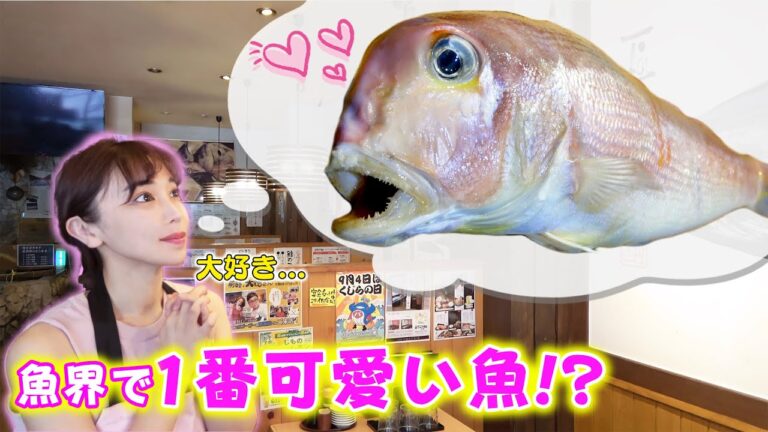 魚界No.1の愛嬌があるお魚!妹のお顔ついに公開・・・？