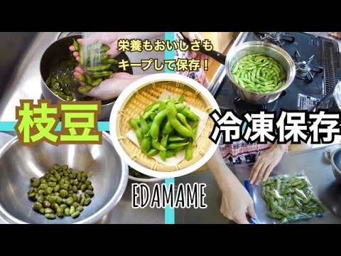 【冷凍保存方法】枝豆の冷凍保存！栄養も美味しさもキープしたまま長期保存！　保存期間や解凍方法と調理例など